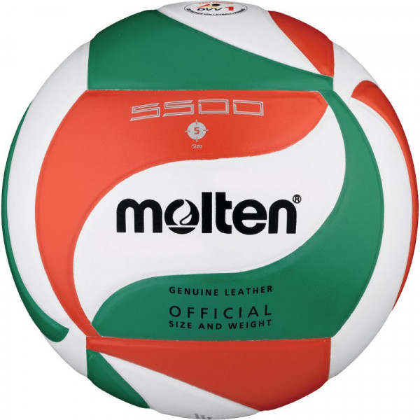 Molten Volleyball V5M5500-DE